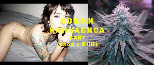 дурь Бронницы