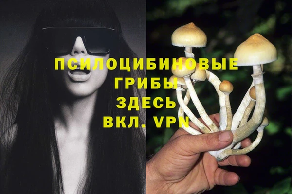 герыч Бородино